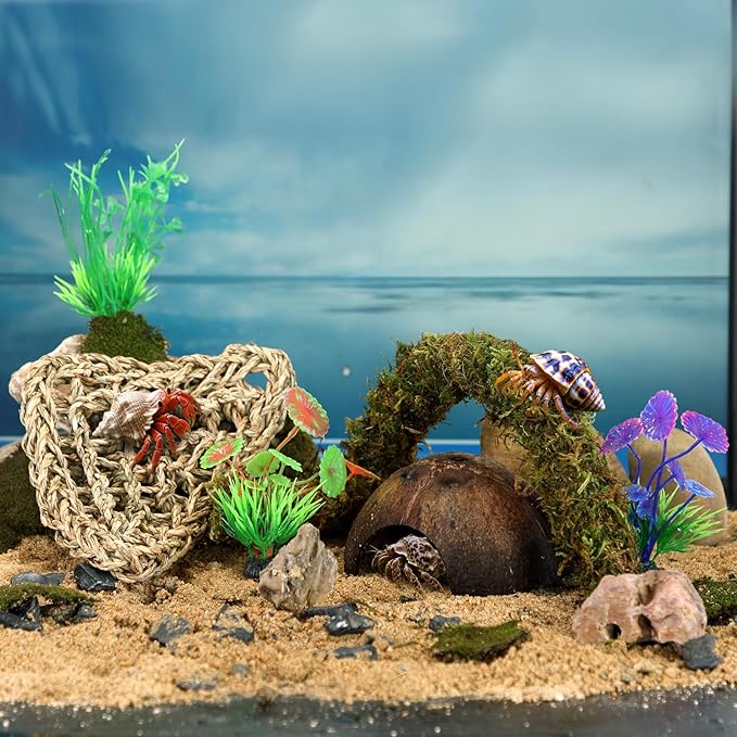 HERCCOCCI Hermit Crab Accessories, 6Pcs Hermit Crab Toys Coconut Shell Hut Climbing Hammock Artificial Plants for Hermit Crabs