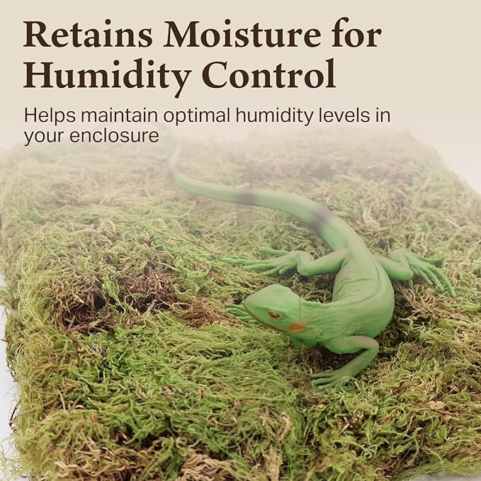 The Habitat Life - Natural Deco Moss - for Reptiles, Amphibians & Invertebrates Terrariums - Humidity Control - Natural Look & Feel - Soft Surface - Dye-Free & Safe - Medium - 2 Pack