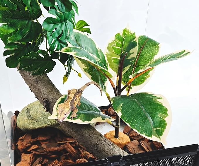 Woyrise Reptile Plants for Terrarium, 9" Fake Rubber Tree Ball Python Tank Accessories Habitat Decor fit Crested Gecko Leopard Bearded Dragon Lizard Chameleon Snake - Ficus Elastica Tineke