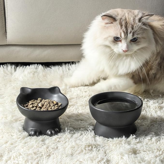 Nihow Slanted Elevated Cat Bowls: 5 Inch Ceramic Raised Cat Food Bowl for Protecting Pet's Spine - Microwave & Dishwasher Safe -Matte Black (4.5 OZ /1 PC)