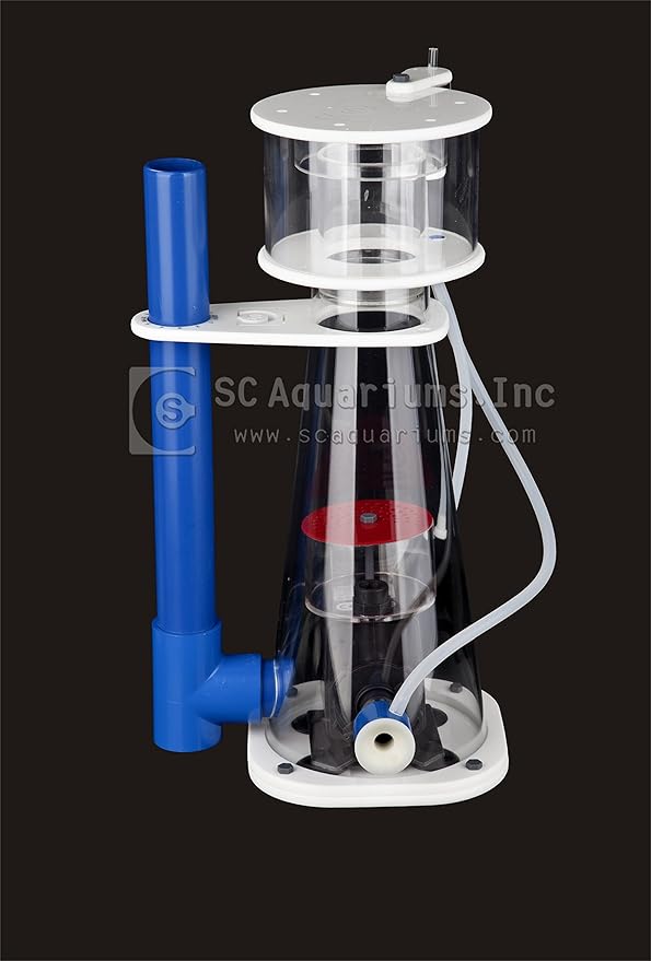 SCA 66 Gallon Starfire Rimless Aquariums Pnp System 32x24x20 10mm with Built-in Overflow
