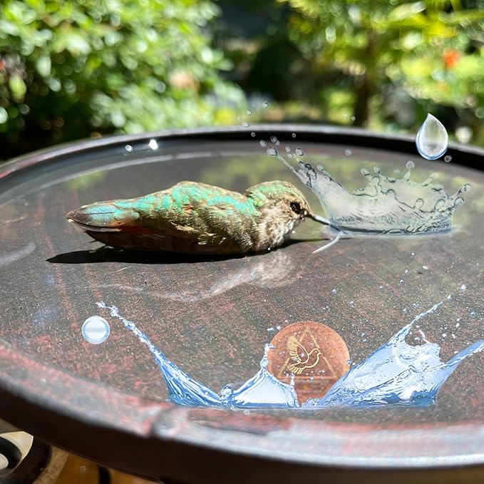 Bird Bath Purification Disk, 99.99% Copper Disc for Bird Bath Copper Disk Cleaner Safe for Outside Birds Fountain Disc Accessories, Fit for Outdoor Birdbath Bowl (2 pcs)