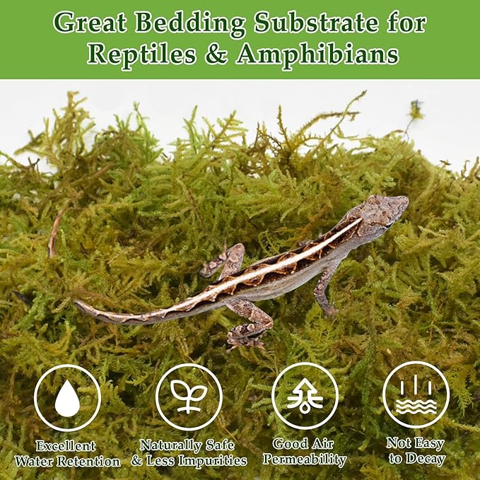 Halatool 2.2LB Natural Sphagnum Moss for Reptiles- 50QT Green Moss for Terrarium Plants Long Fiber Reptile Moss for Leopard Gecko Snake Hamsters Tortoises Frogs Lizards Salamanders