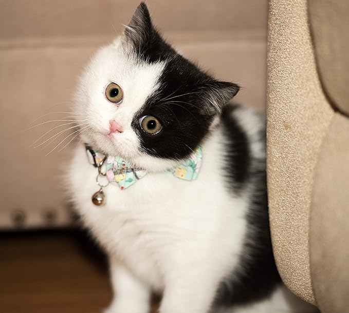Collar for Cat Pet Breakaway with Bell Bowtie Detachable Bow Adjustable Safety Kitten Puppy Girl Boy 2pcs Green & Pink Sakura