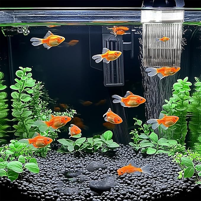 WEAVERBIRD Aquarium Fish Breeder Box, Acrylic Fish Isolation Breeding Box, Square Hatchery Box Hatching Incubator Box for Baby Fish Shrimp Clownfish Guppy