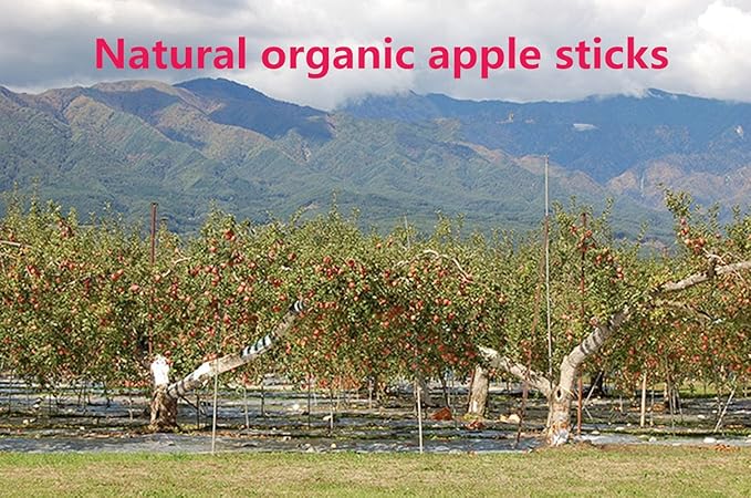sharllen 100g (3.5oz) Apple Sticks Pet Snacks Chew Toys for Guinea Pigs Chinchilla Squirrel Rabbits Hamster