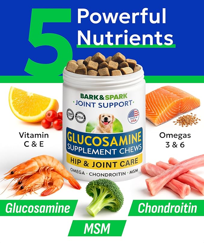 Glucosamine Chondroitin Dog Hip & Joint Supplement - Joint Pain Relief - Hip & Joint Chews for Dogs - Joint Support Large Breed - Senior Doggie Vitamin Pills Joint Health (240 Treats - Peanut Butter)