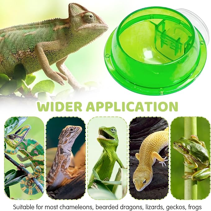 Tfwadmx Chameleon Bowl, Reptile Feeding Feeder,Worm Live Fodder Container, Water Dish Gecko Ledge Suction Cup Feeder Chameleon Supplies Accessories for Gecko Lizard Bearded Snakes Dragon 4 Pcs