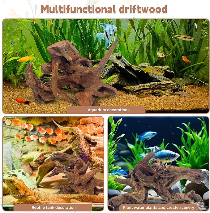PINVNBY Natural Driftwood for Aquarium Fish Tank Decorations Assorted Branches Bearded Dragon Tank Accessories Terrarium Decor (6.5-12 inches/4 Pack)