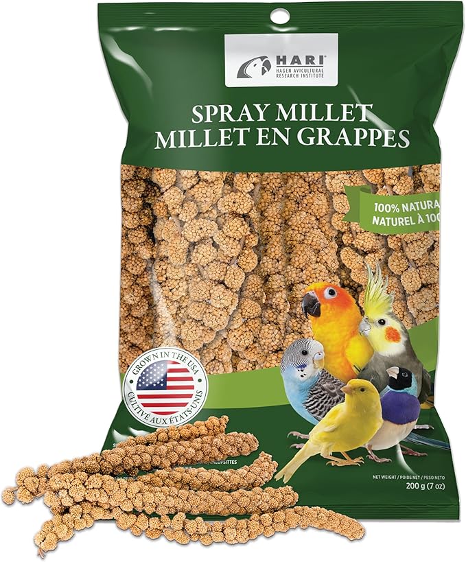Living World – Millet Spray for Birds,7 Oz – Premium Treat for Budgies,Canaries,Finches,Cockatiels and Other Pet Birds,(Pack of 2)