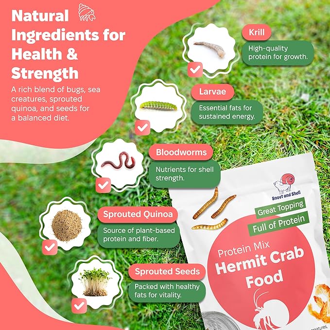Snout and Shell Hermit Crab Food Bundle (Fruity Breakfast Blend, Ocean Mix, Protein Mix, Summer Sunset, Worm Castings & Oyster Shell Flour)