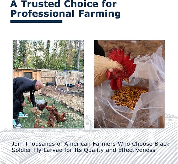 Nutrient-Rich Chicken Feed - 5LB Dried Black Soldier Fly Larvae, 100% Natural, 85X More Calcium Than Mealworms, Ideal for Molting & Laying Hens, Ducks, and Wild Birds, Reptiles and Hedgehogs