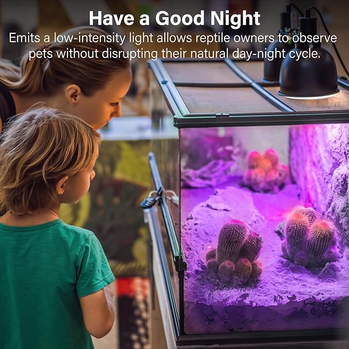 Reptile Heat Lamp Bulbs-100W Tortoise Night Heat Bulb E26 Terrarium Heat Lamp Simulate Natural Moon Purple Light for Snake Bearded Dragon Leopard Gecko Lizard Chameleon-2Pack