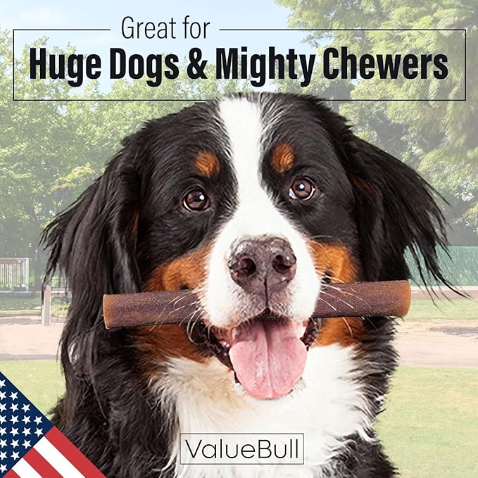 ValueBull USA Collagen Sticks for Dogs, 6 Inch Super Jumbo Chews, Natural Long-Lasting Dog Treats, 100 Count Bulk Pack - Promotes Joint, Skin & Coat Health with Glucosamine and Chondroitin