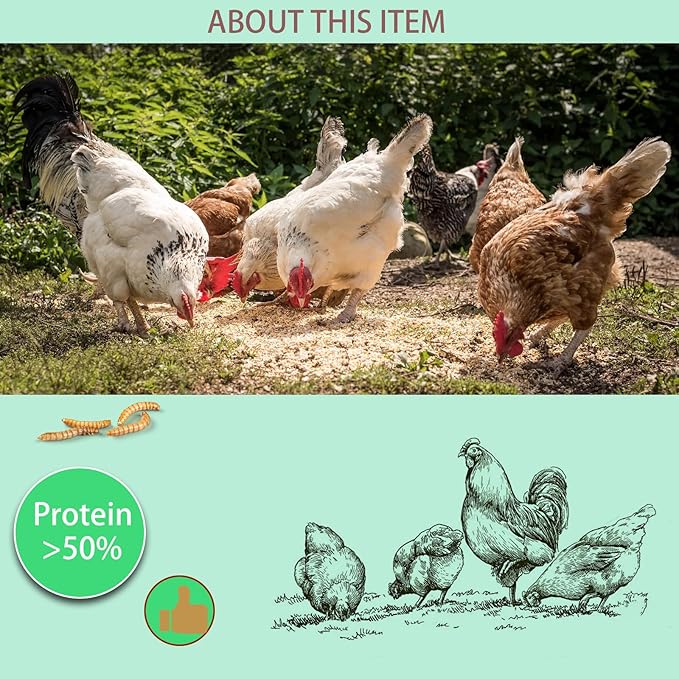 Dried Mealworms 5LB-High Protein Chicken Feed,More Protein,No Additives,Premium Organic Non-GMO,Rich in Protein Meal Worms for Chickens,Wild Birds,Laying Hens,Turkeys-Nutrient-Rich Mealworms
