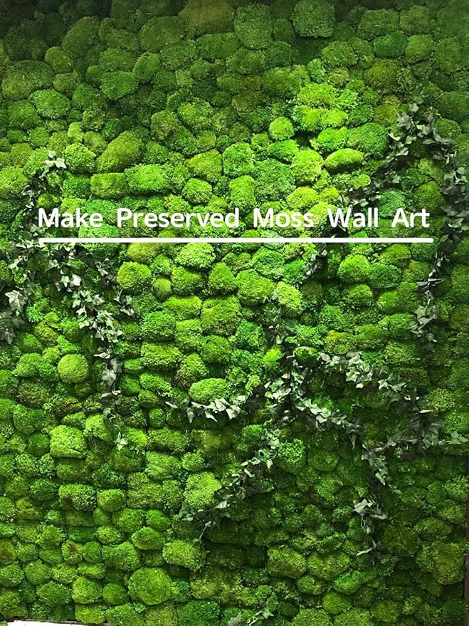 Preserved Pole Moss Pillow Bun Cushion Natural Green Decorative Real Natural Green DIY Kit Terrariums Gardenning Art Wall Decor Florist Decor Easter Table Wedding(1.5 sq.ft, Green-B)