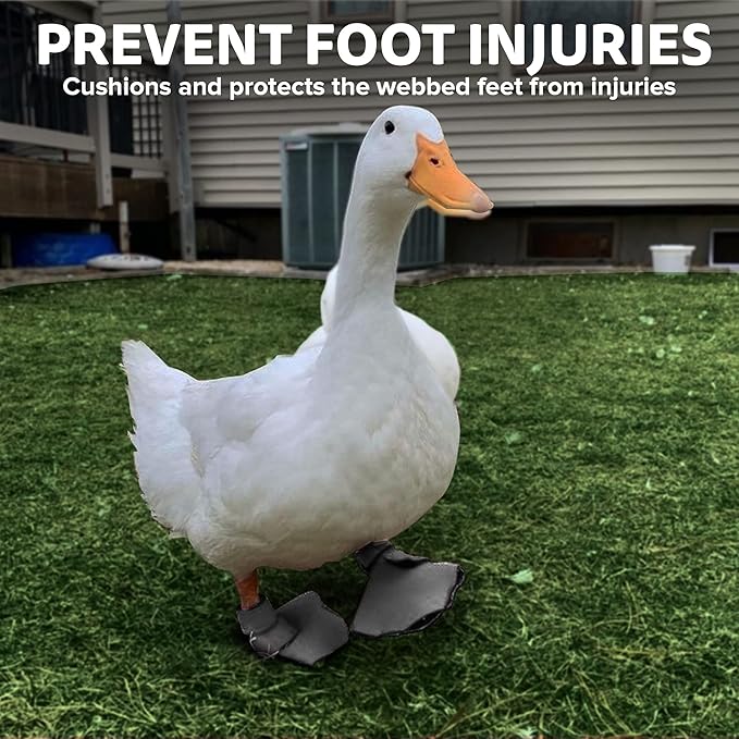 Duck Shoes for Injured Feet – Protective Neoprene Footwear for Ducks, Protective Shoes for Birds with Injured feet, Bumblefoot Relief - Large, 4.5” Max. Inside Width - Gray