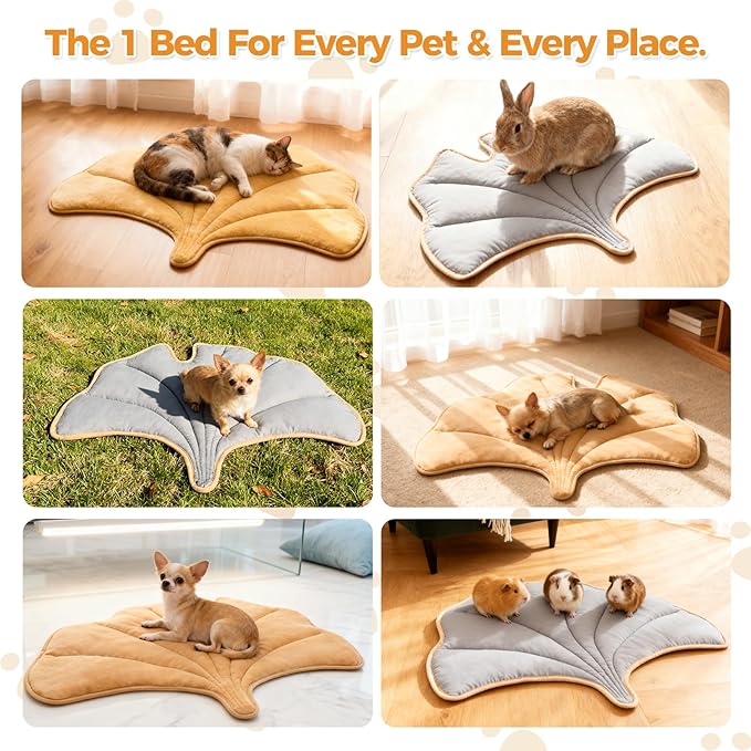 KOOLTAIL Upgrade Self Warming Cat Bed for Winter, Reversible Extra Cozy Pet Sleeping Blanket Pad for All Season, Thicken Self Heating Puppy Mats with Thermal Foil for Crate, Floor, Outdoor, Gingko