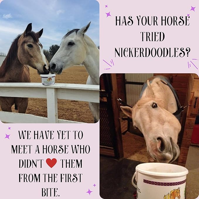 Horse Treats - 5 lb Pail - Effortlessly Give Medications with Our Soft Baked Treats - Training Treats are The Perfect Motivator - No Additives or Preservatives Handles May Vary