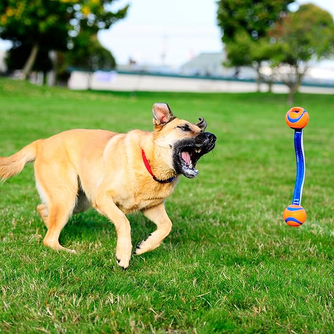 Chuckit! Ultra Duo Tug Dog Toy, Small Indoor and Outdoor Dog Ball for Dogs 0-20 Pounds