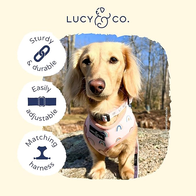 Lucy & Co. in The Clouds Adjustable Dog Collar- Cute Designer Pet Collar for Small, Medium, Large Dogs- Buckle Closure Dog Accessories, Large, Pink Rainbows
