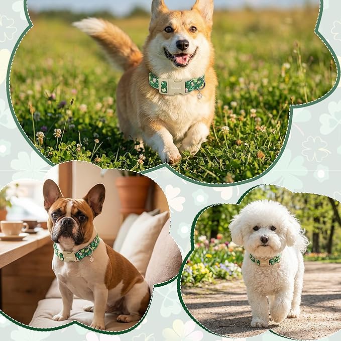 St. Patrick's Day Dog Collar,Green Clover Lucky Shamrock Puppy Collar,Adjustable Spring Cotton Collars Gifts for Small Medium Large Dogs,Dog Accessories XS
