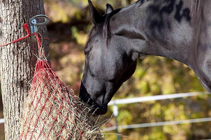 Horse Feed Bucket Hook,Water Bucket Holder Hanger for Horse Stall/Stable Supplies (4 Pack)