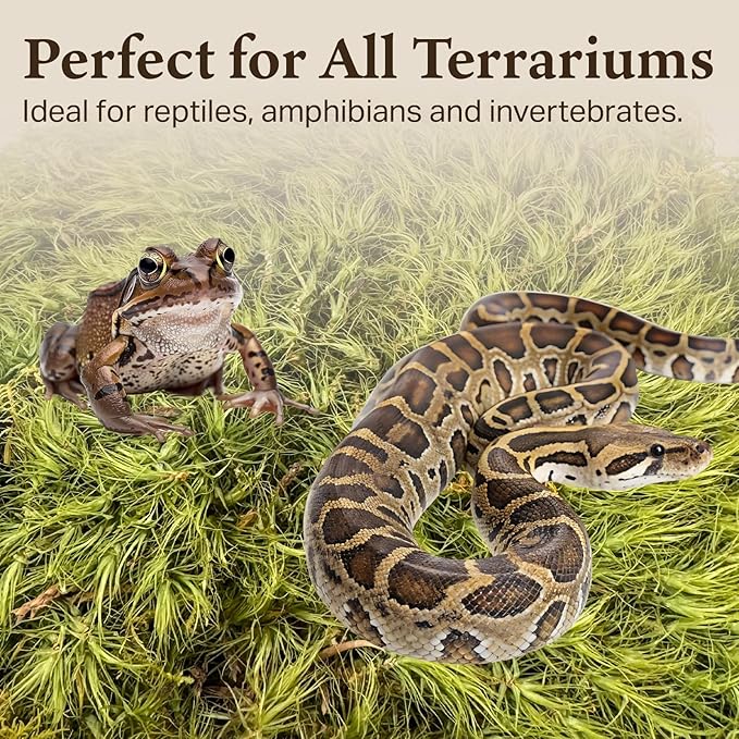The Habitat Life - Natural Mood Moss - for Reptiles, Amphibians & Invertebrates Terrariums - Moisture-Retaining - Humidity Control - Soft Bedding - Dye-Free & Safe - Small - 2 Pack