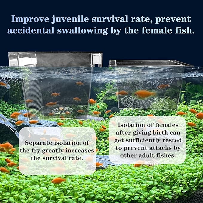 WEAVERBIRD Aquarium Fish Breeder Box, Acrylic Fish Isolation Breeding Box, Square Hatchery Box Hatching Incubator Box for Baby Fish Shrimp Clownfish Guppy