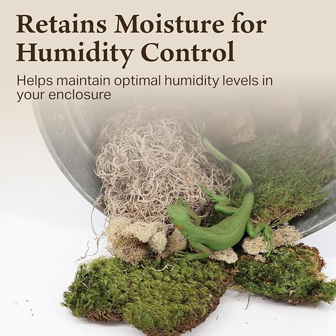 The Habitat Life - Natural Variety Pack - Mix of Reindeer, Mood, Sheet & Spanish Moss - for All Terrariums - Humidity Control - Breathable Bedding - Dye-Free & Safe - Small - 2 Pack