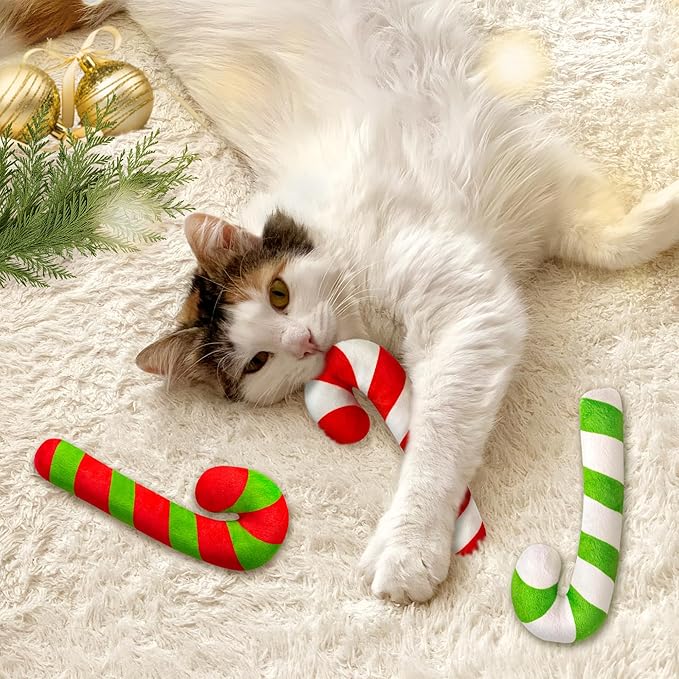 MALLMALL6 6Pcs Christmas Candy Cane Catnip Toys Gift for Indoor Chew Bite Kick Catmint Pet Supplies, Cute Interactive Toy for Cat Lover Xmas Presents (Tricolor)