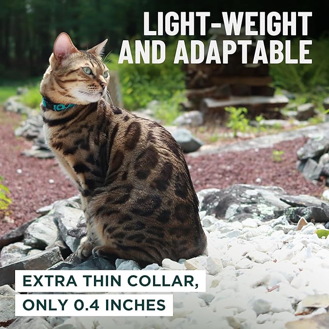 OutdoorBengal Pink Cat Collar Breakaway with Soft Padding for Medium to Large Cats - Durable Heavy Duty Tactical Fabric, Comfortable, Quick Release Breakaway Cat Collars, No Bell Collar (Pink, Adult)