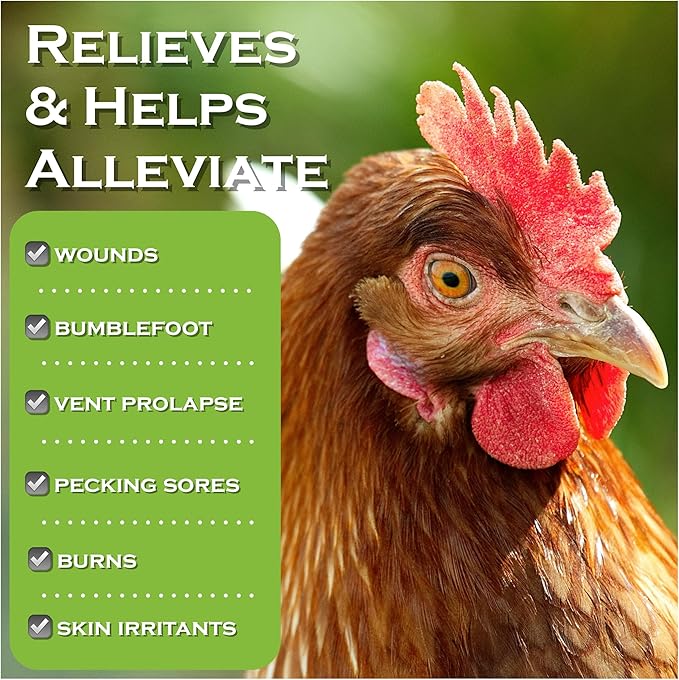 Chicken's Choice Wound Care for Chickens & Birds. Advanced Wound Care Spray for Poultry. Works for Bumblefoot, Vent Prolapse, Pecking Sore, Burns & Skin Irritations. Makes 32 oz Spray.