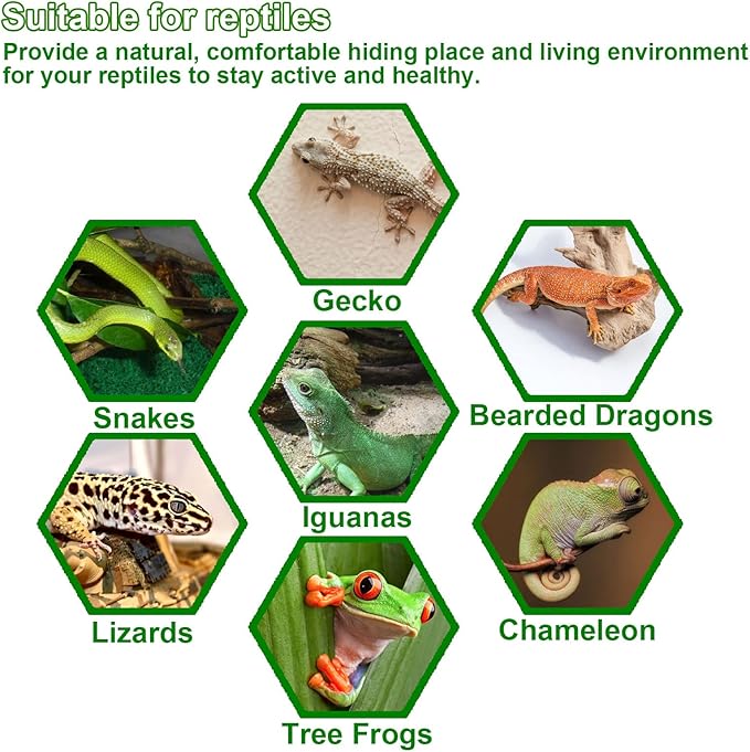 kathson Reptile Corner Branch Climbing Wood & Hanging Fake Plants,1 Reptile Branches & 2 Terrarium Plastic Plant, Bearded Dragons Tank Decor for Amphibians, Lizards, Geckos, Snakes, Frogs, Hermit Crab