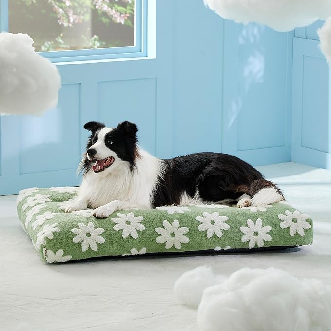 LE SURE Large Dog Beds-Thick Shredded Chopped Foam Pet Bed Indoor with Removable Cover, Cute Modern Fuzzy Plush & Anti Slip Bottom, Green