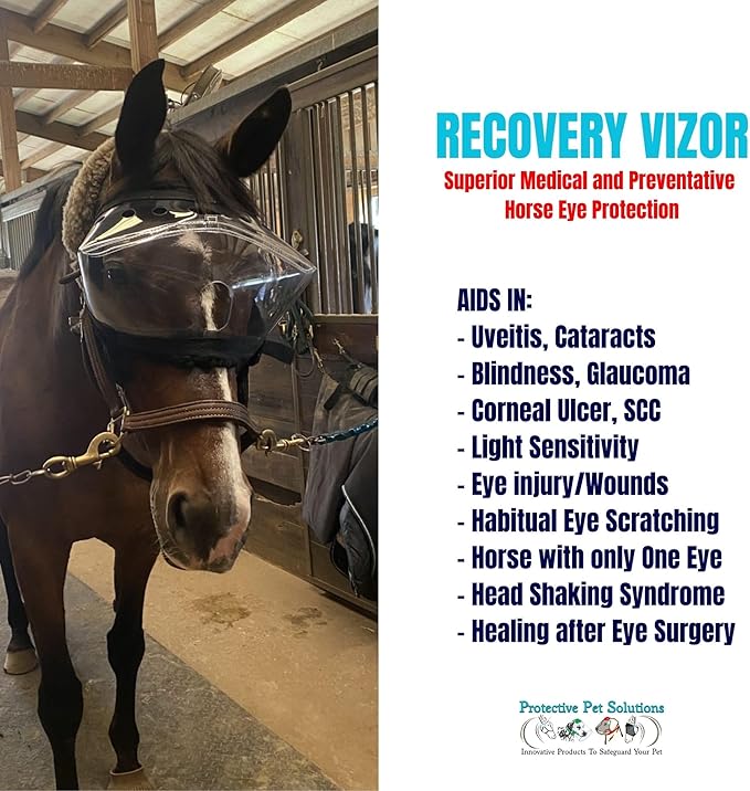 Recovery Vizor, (Size XL - Clear UV Tint) Medical and Preventative Horse Eye (Goggle) Protection Mask for Uveitis/Injury/Scratch or Corneal Ulcer, Infection, Blindness