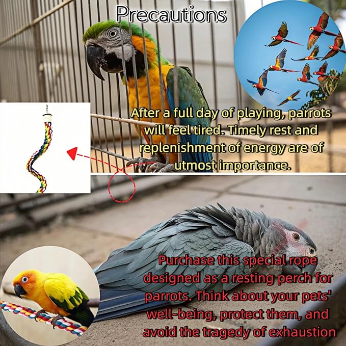 Bird Rope Perches, Parrot Toys, Bungee Rope Perches for Parrots, Cockatiels, Parakeets, Budgie Cages Comfy Birds (Metal Nut) - 15.75 inches