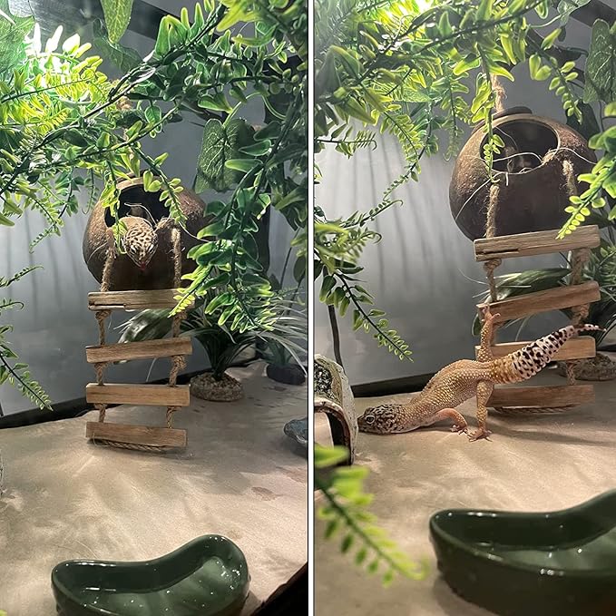 Lizard Coco Den with Ladder,Leopard Gecko Coconut Husk Hut Hideout Home Reptile Hammock Climbing Hanging Plants Decor Habitat Tank Accessories for Bearded Dragon Snake Chameleon