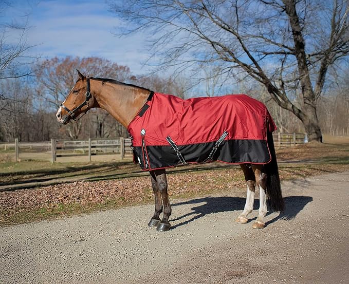Equinavia Norse Lightweight 100g Fill Horse Rain Blanket | Waterproof Turnout Sheet - Black - 66 in - Equestrian Red - 72 in