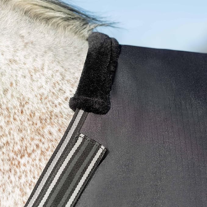 Equinavia Norse Lightweight 100g Fill Horse Rain Blanket | Waterproof Turnout Sheet - Black - 66 in - Black - 84 in
