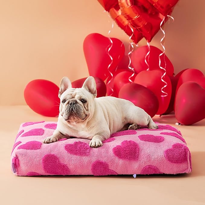 LE SURE Dog Beds Medium Size-Thick Shredded Chopped Foam Pet Bed Indoor with Removable Cover, Cute Modern Fuzzy Plush & Anti Slip Bottom, Pink