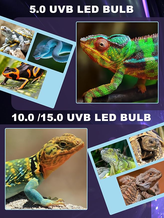 LED UVB Light for Reptiles, 10W 5.0 LED UVA UVB Lamp, Reptile UVB Bulb for Bearded Dragon Lizard Gecko Snake Turtle, Provide Sufficient UVB Exposure Tropical & Desert Reptiles