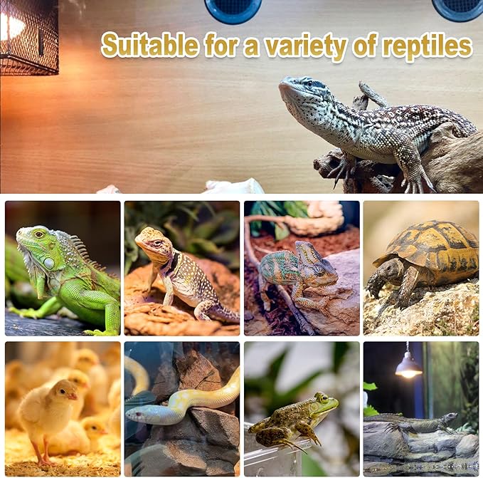 MIXJOY 75W Reptile Heat Lamp Bulbs, 2Pack Heat Lamp Bulbs for Reptiles Basking Bulbs UVA Daylight Basking Light Amphibians Heating Lamp Emitter for Lizard, Tortoise, Bearded Dragon Gecko, Chicken