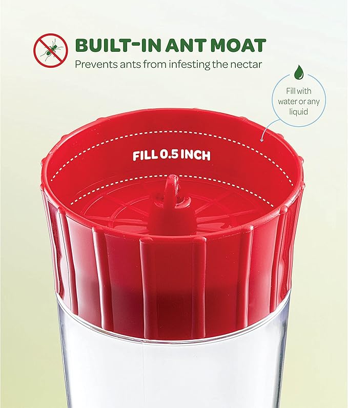 Hummingbird Feeder 10 oz [Set of 2] Glass Feeders for Outdoors, with Built-in Ant Guard - Circular Perch with 5 Feeding Ports - Wide Mouth for Easy Filling/2 Part Base for Easy Cleaning
