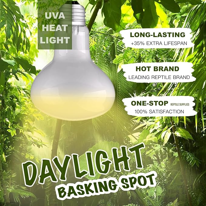 Reptile Heat Bulb Lamp, 2-Pack 75W Daylight Basking Spot, Bearded Dragon/Turtle/Lzard/Gecko Light Bulb, UVA Heat Lamp, Basking Light for Reptiles