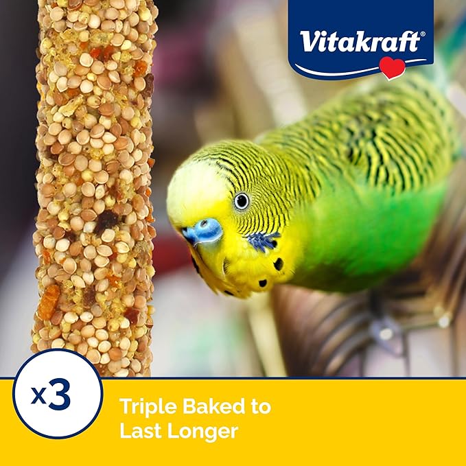 Vitakraft Parakeet Whole Grains & Orange & Apricot Treat Sticks, 1.6 Ounce (Pack of 2)