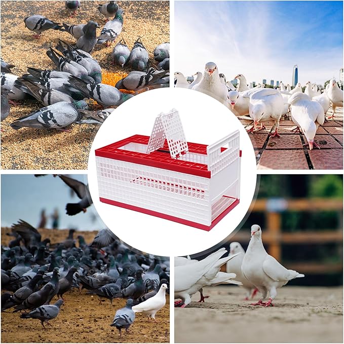 Pigeon Carrier Cage, 23.6"X12.2"X10.2" Plastic Training Basket with 4 Doors (2 Side + 2 Top), Red Foldable Pigeon Cage with Handle,Portable Bird Transport Box for Racing & Release