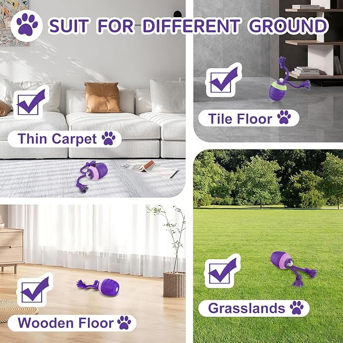 Interactive Dog Toy, [Newly Upgraded] Motion Activated Rolling Squeaky Ball for Medium/Large Dogs, Automatic Moving Dogs Ball for Boredom, USB Rechargeable(Purple)