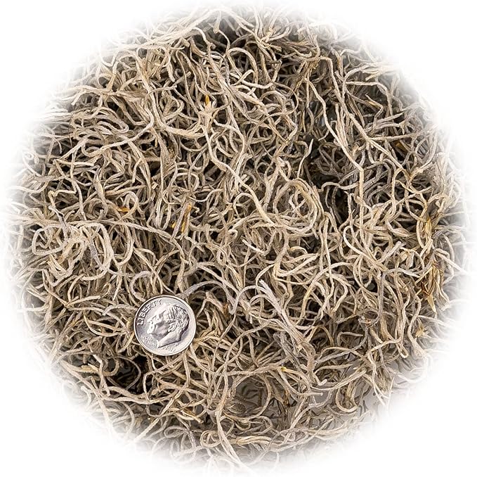Premium Natural Spanish Moss | Natural Preserved - Great Ground Cover - Filler for Potted Plants - by GARDENERA - 3 Quart Bag