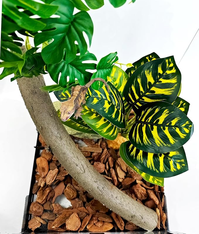 Woyrise Reptile Artificial Plants for Terrarium Decor, Amphibian Habitat Decorations Bearded Dragon Tank Accessories fit Crested Gecko Leopard Lizard Chameleon Ball Python Snake Frog - Prayer Peacock